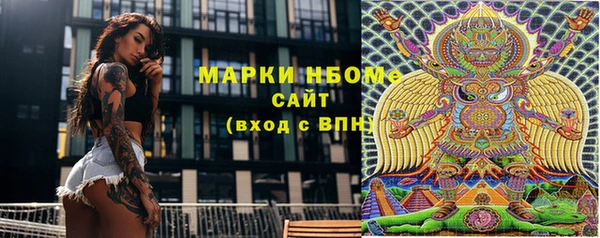 прущие грибы Гусиноозёрск