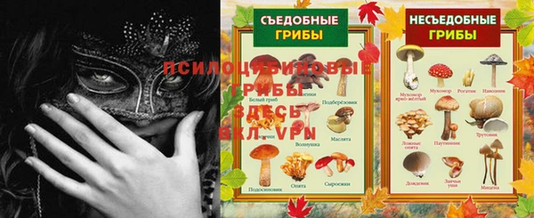 кокс Вяземский