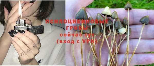 дурь Вязьма