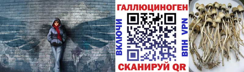 Псилоцибиновые грибы ЛСД Магадан